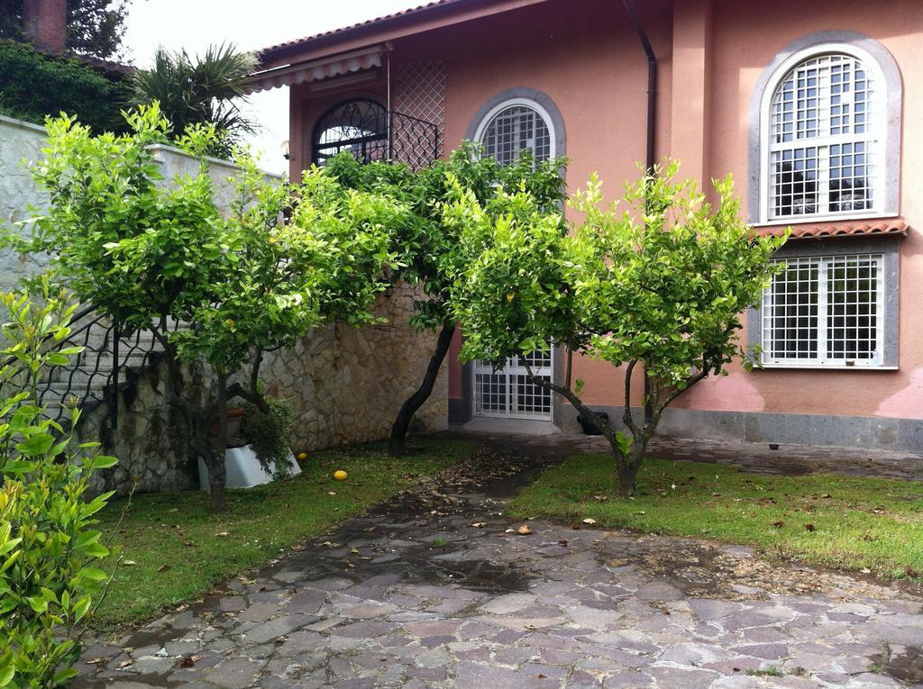 Iolanda Roma